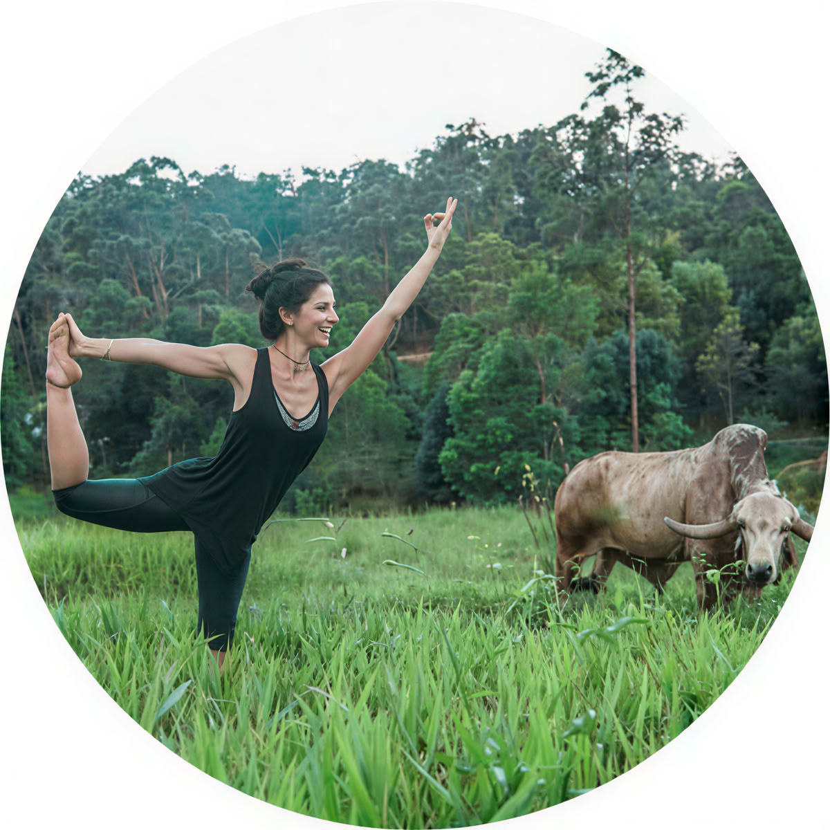 200 Hour Yoga Teacher Training Immersion Retreat