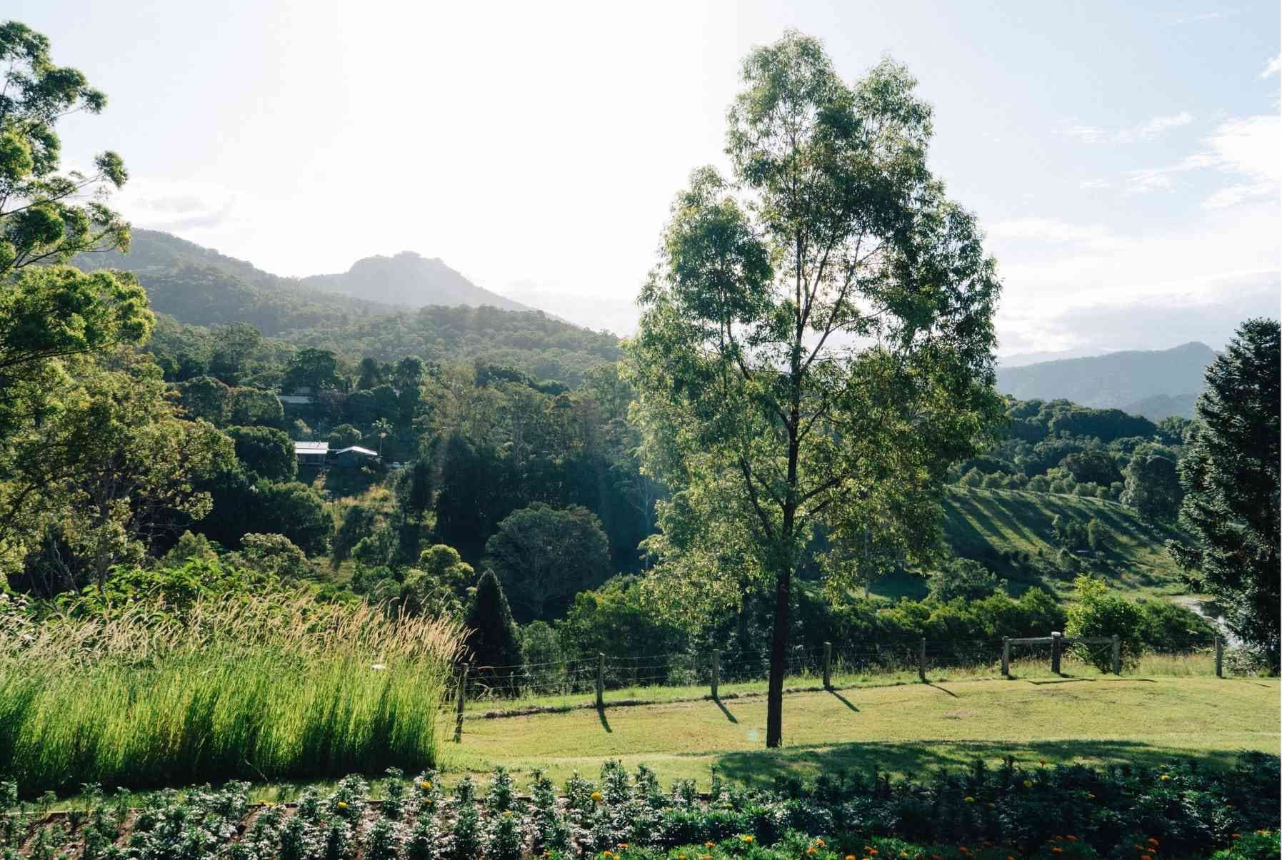 200 Hour Yoga Teacher Training Immersion Retreat