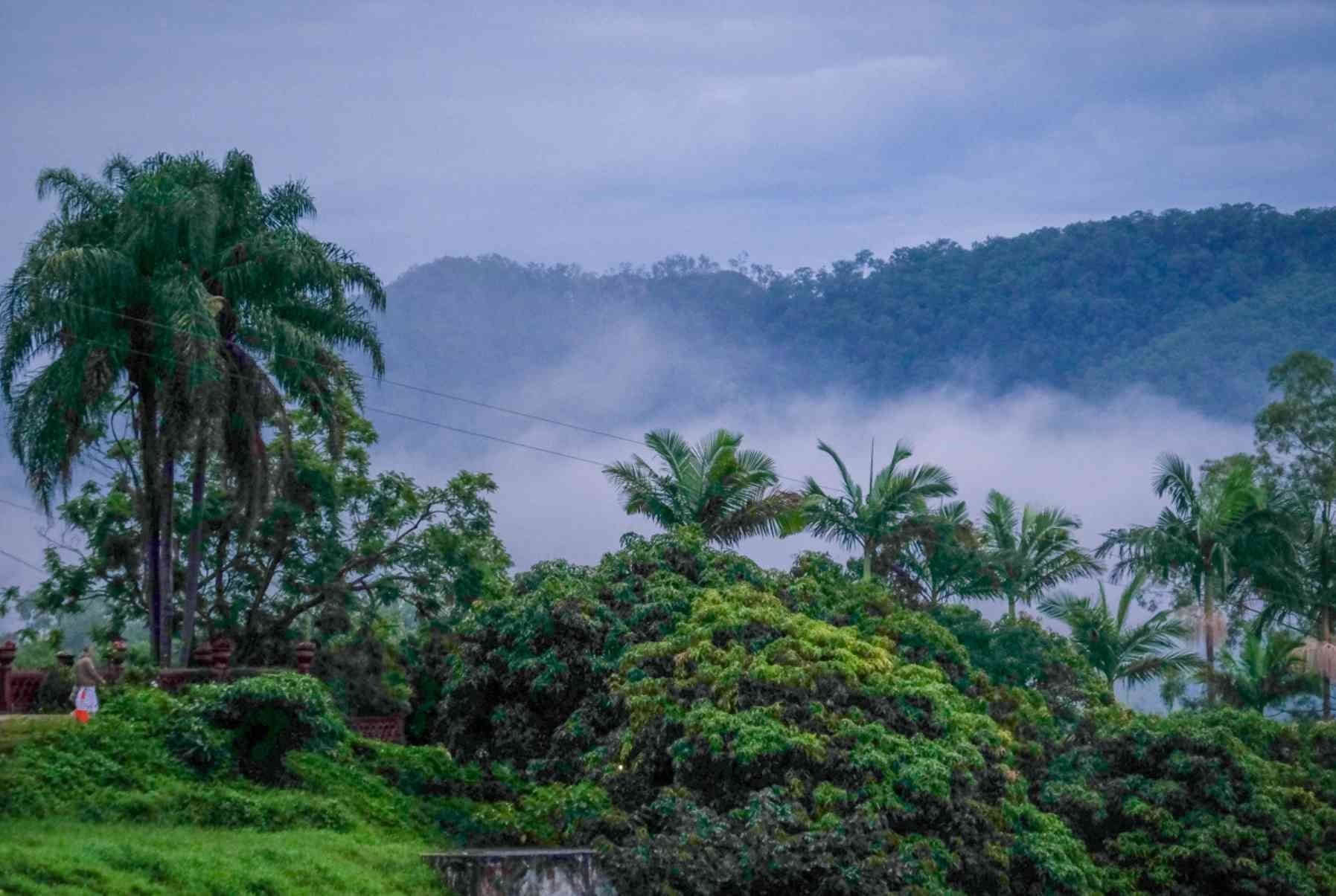 200 Hour Yoga Teacher Training Immersion Retreat
