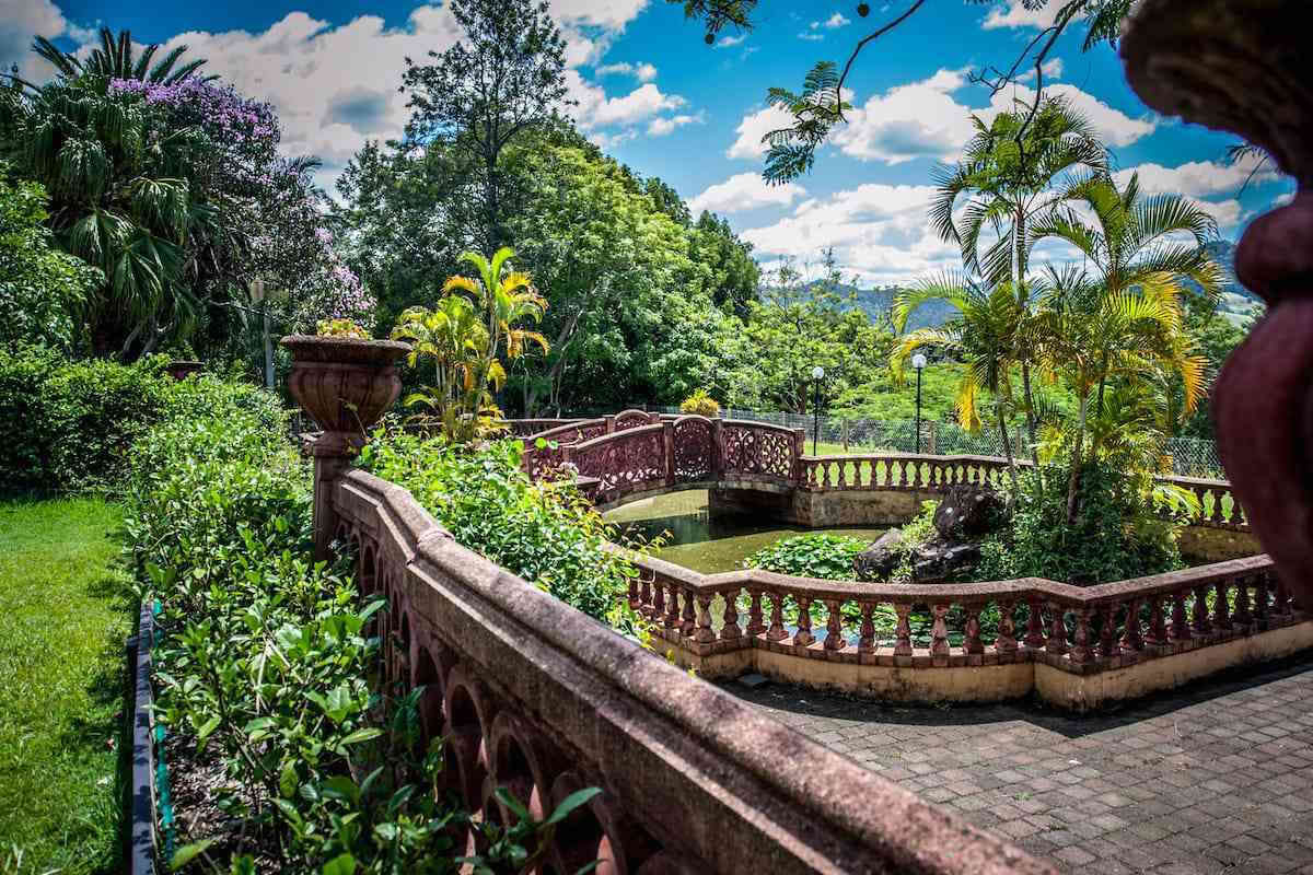 Wild Wellness Women's Retreat