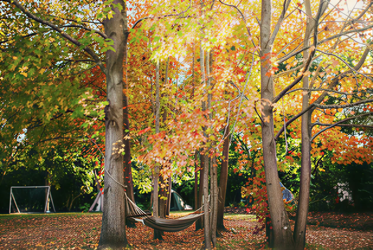 Wild Wellness Women's Retreat