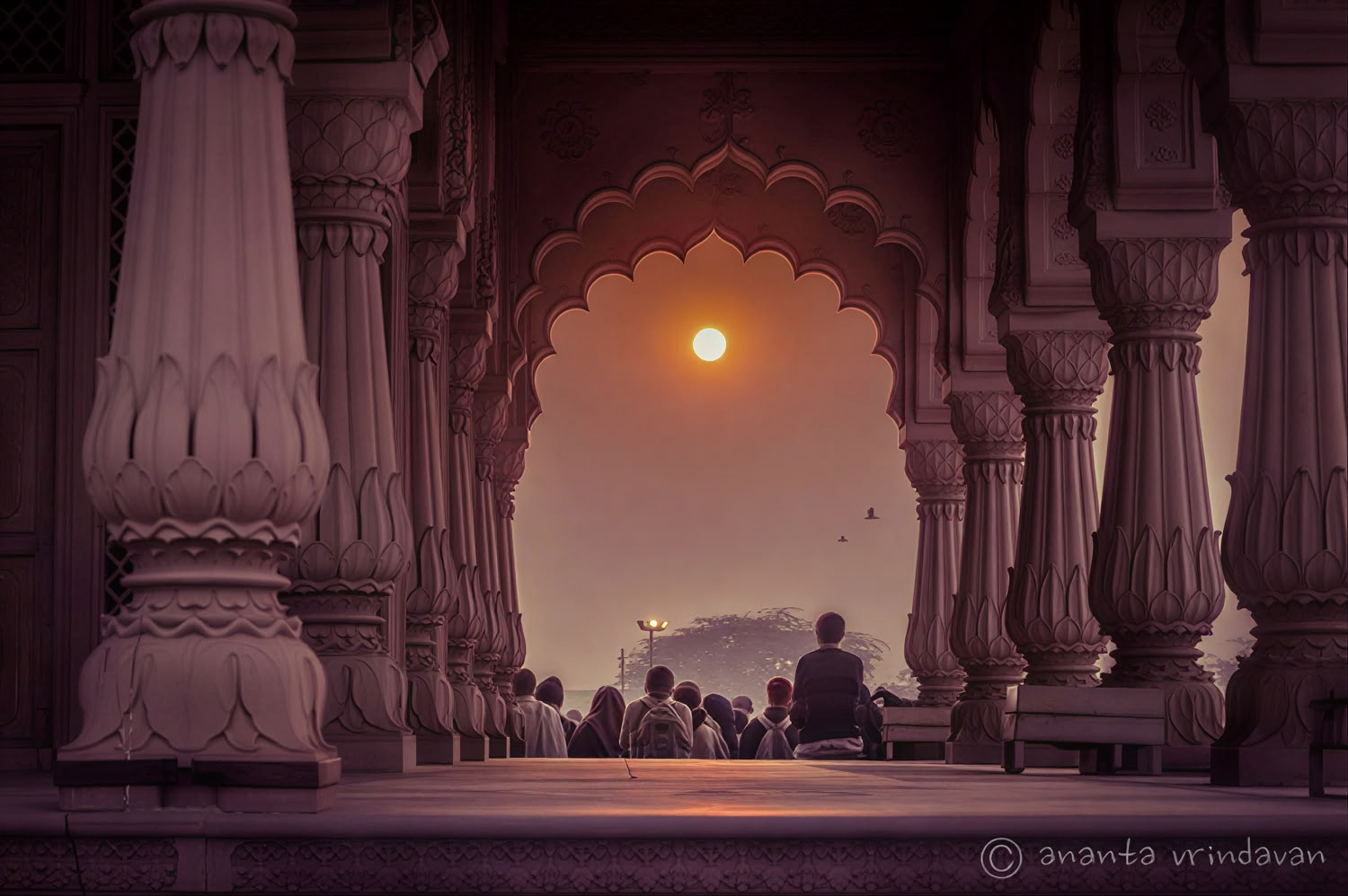 'Spirit of the Himalayas' Tour + Holi Festival in India