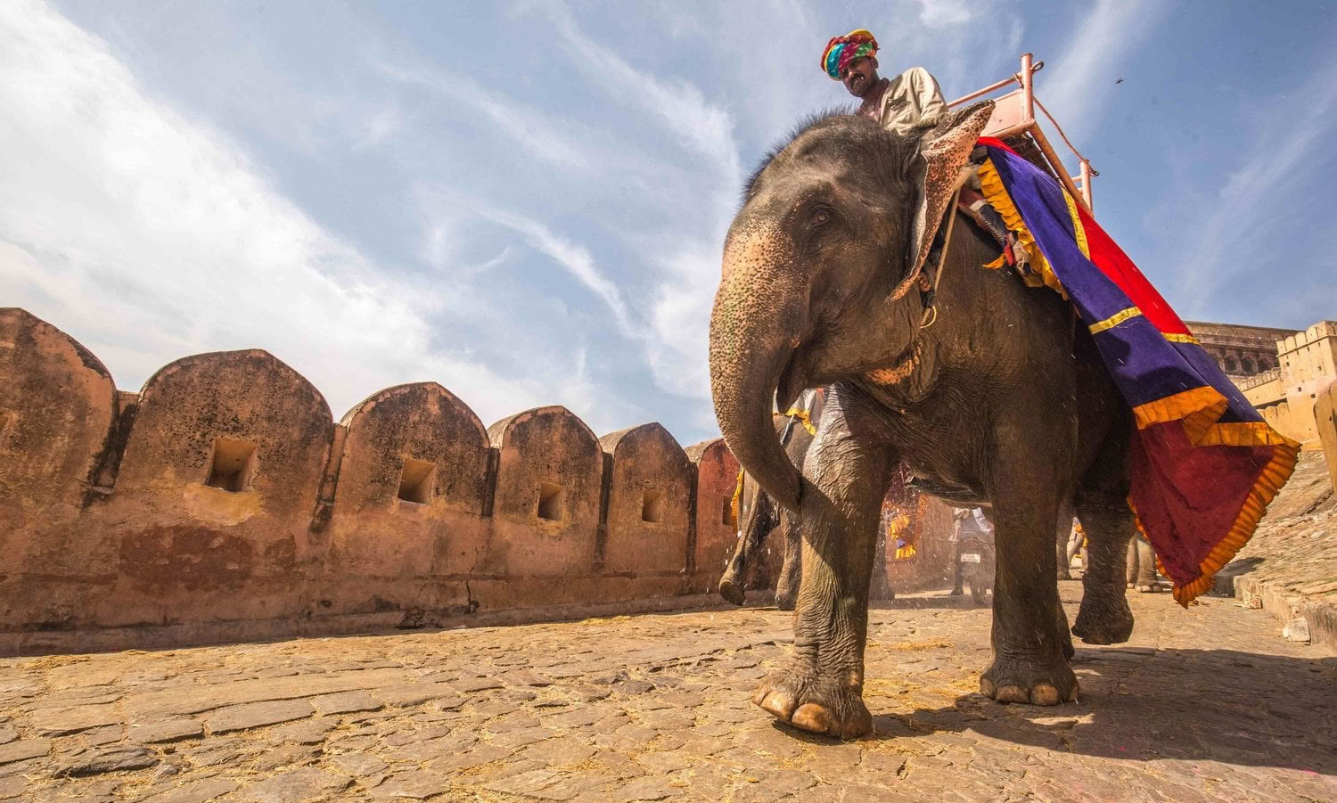 'Spirit of the Himalayas' Tour + Holi Festival in India