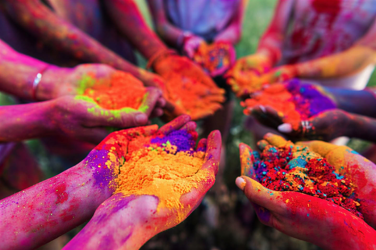 'Spirit of the Himalayas' Tour + Holi Festival in India