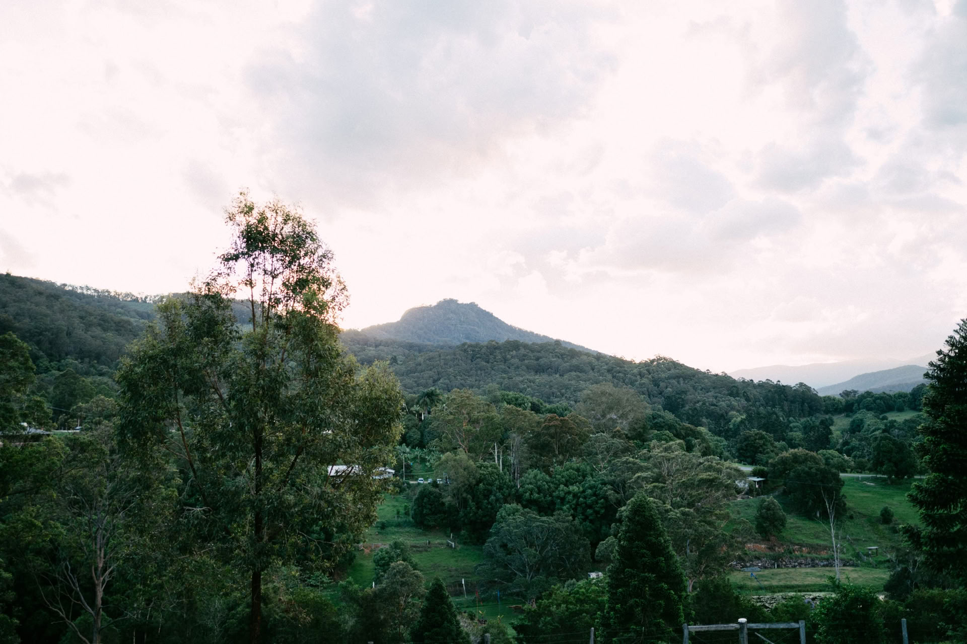 Reiki Level 1