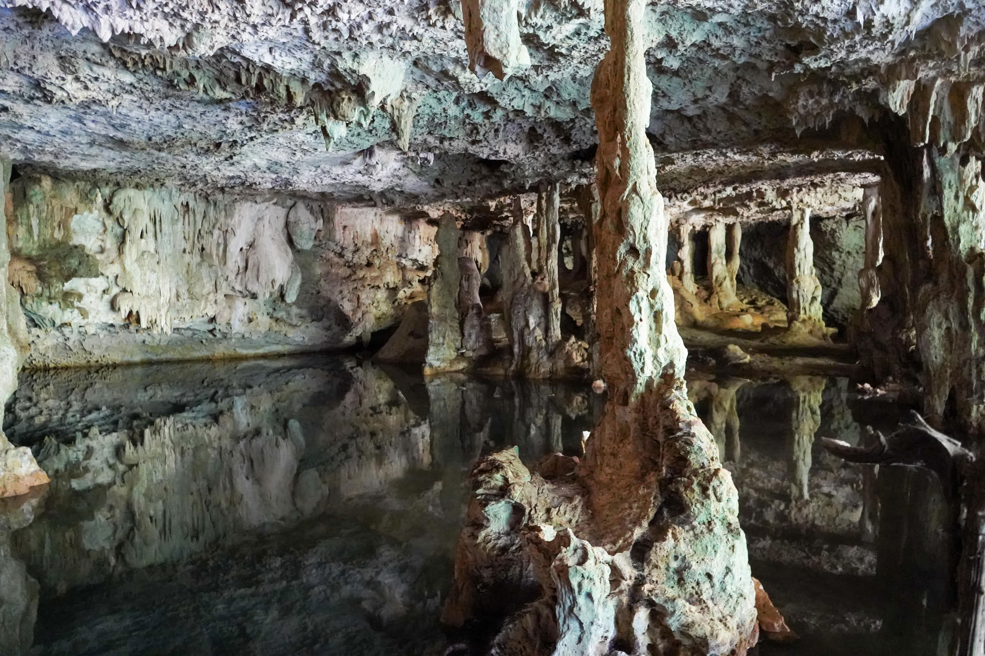 Integration Tour to a private cenote