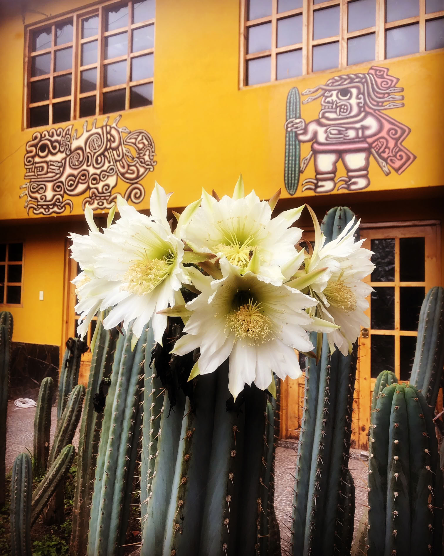 San Pedro Ceremony