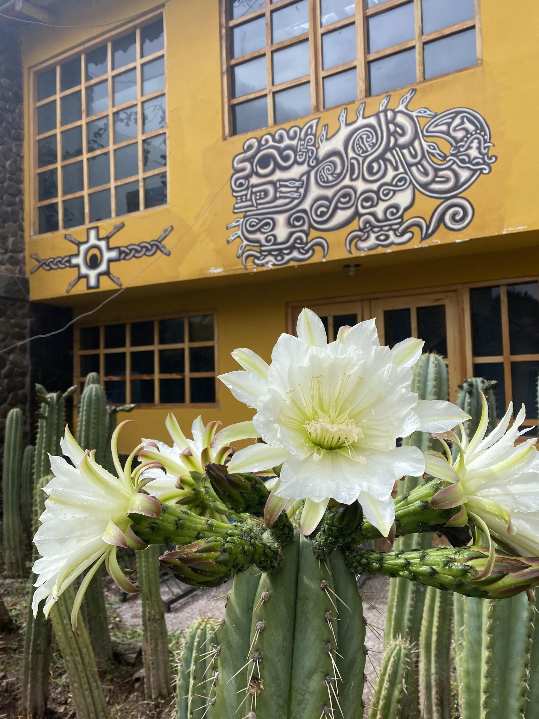San Pedro Ceremony
