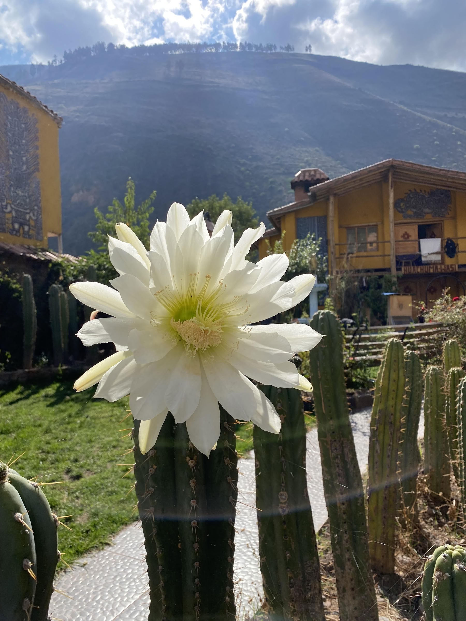 San Pedro Ceremony