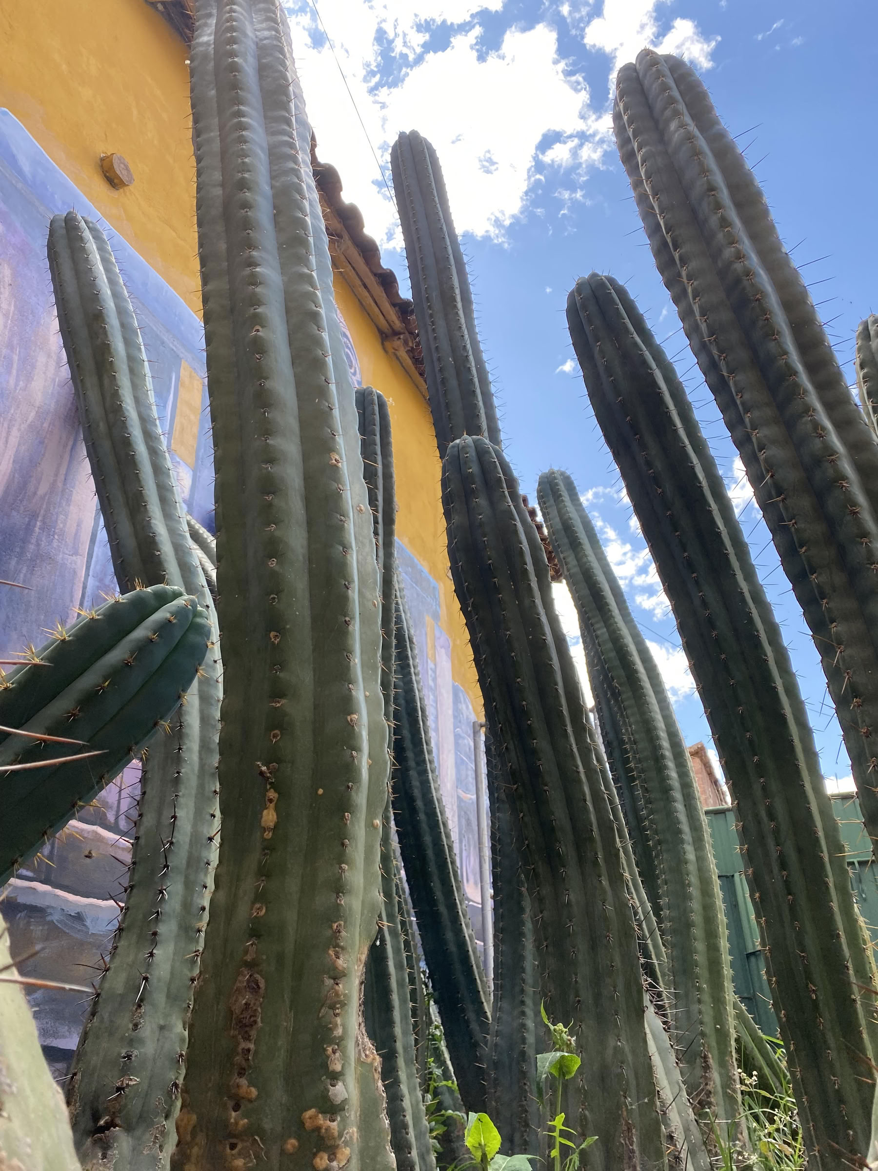 San Pedro Ceremony