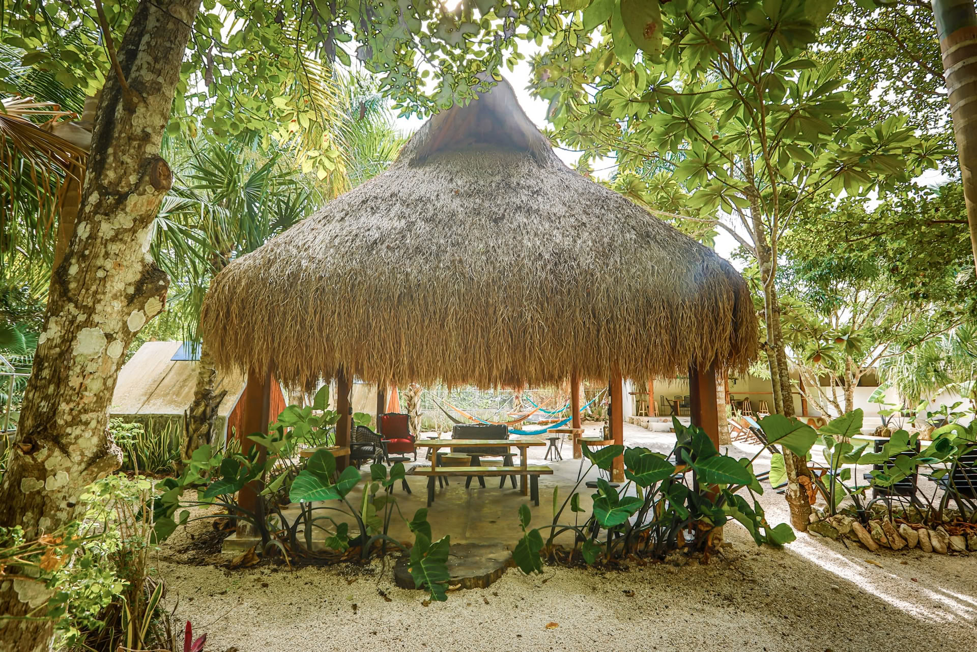 Retreat in the Bufo lagoon - Luna de cosecha