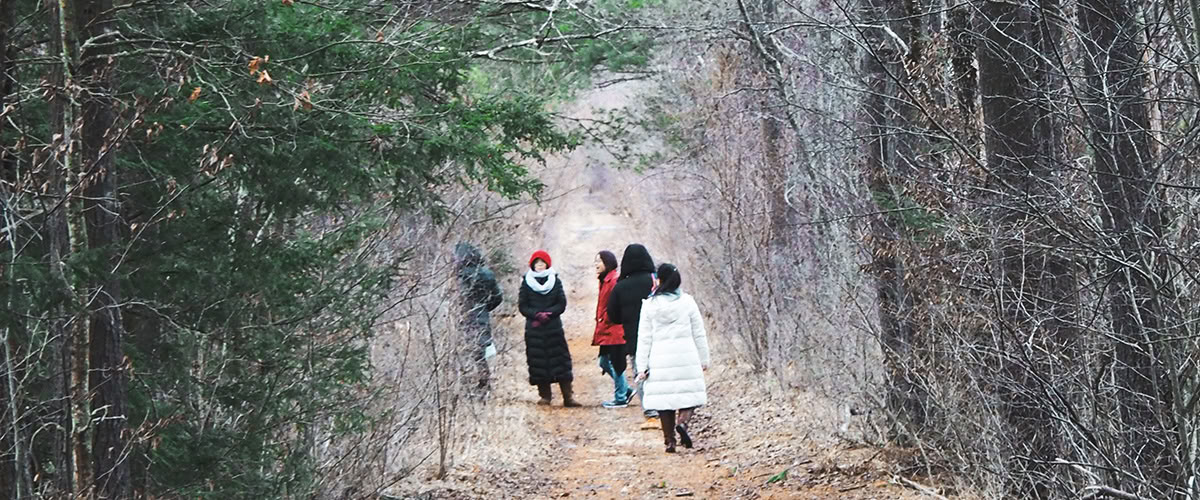 Heal the Healers Winter Healing Retreat