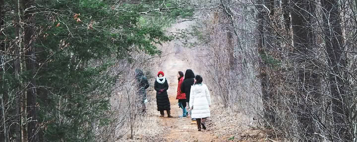 Heal the Healers Winter Healing Retreat