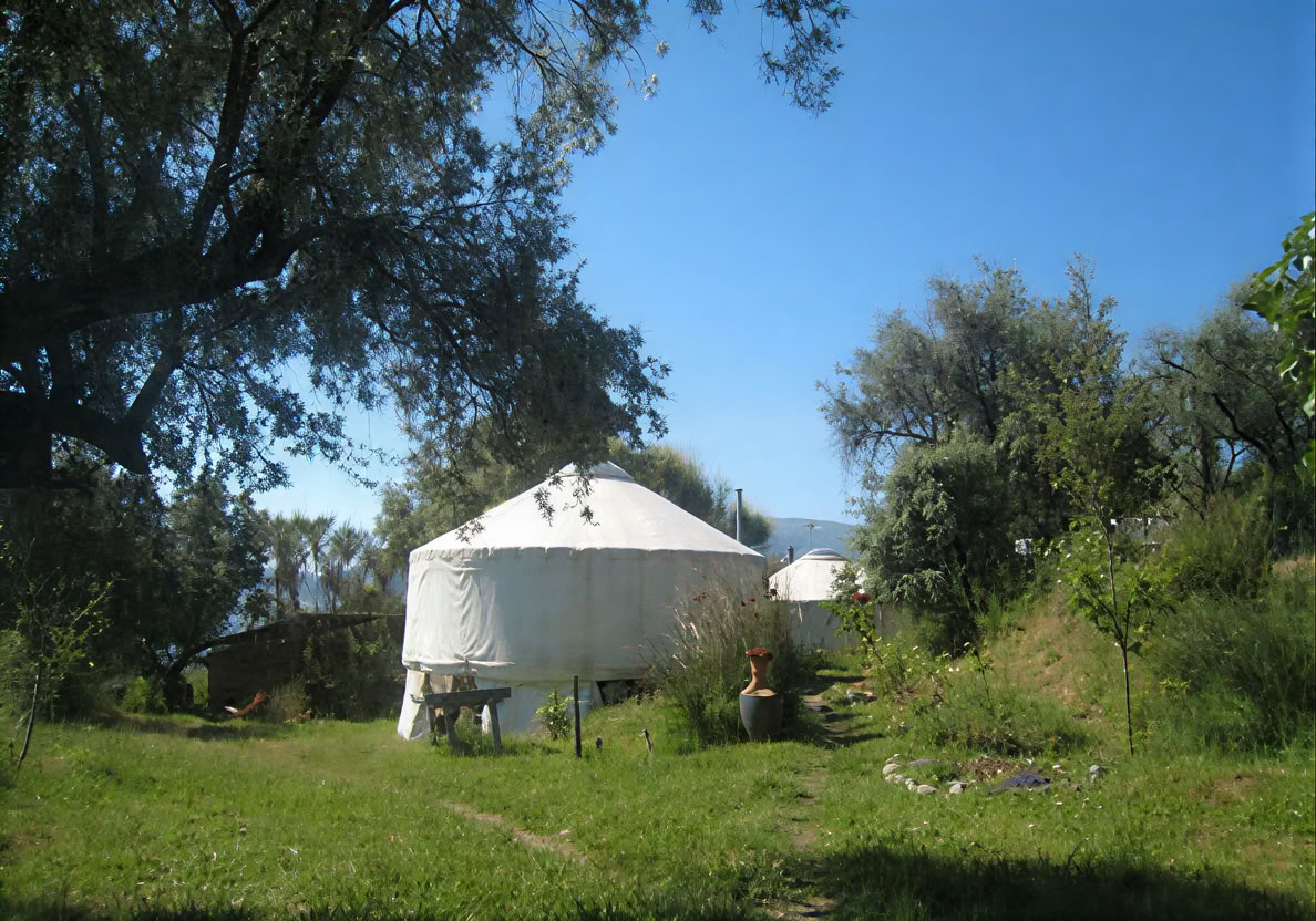 1 day Huachuma Ceremonies