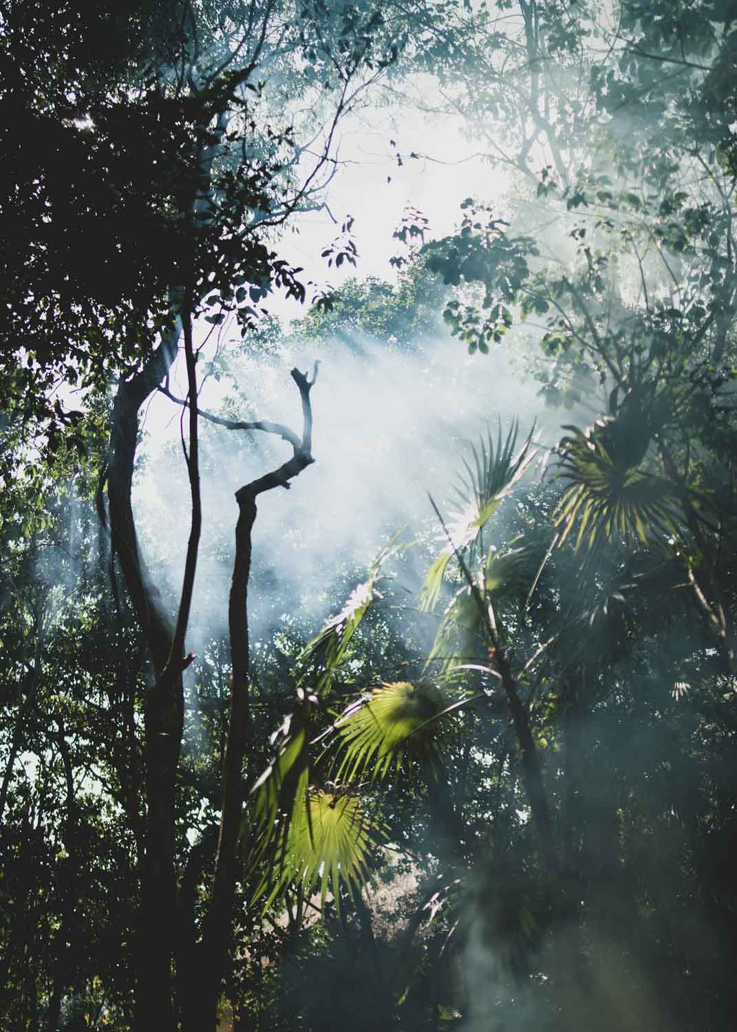 Sacred Flow Retreat – 12th - 19th December 2026