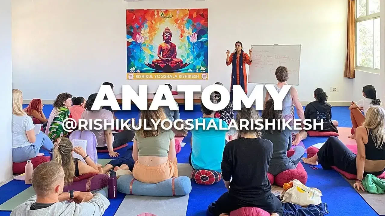300 Hour Yoga Teacher Training In Rishikesh