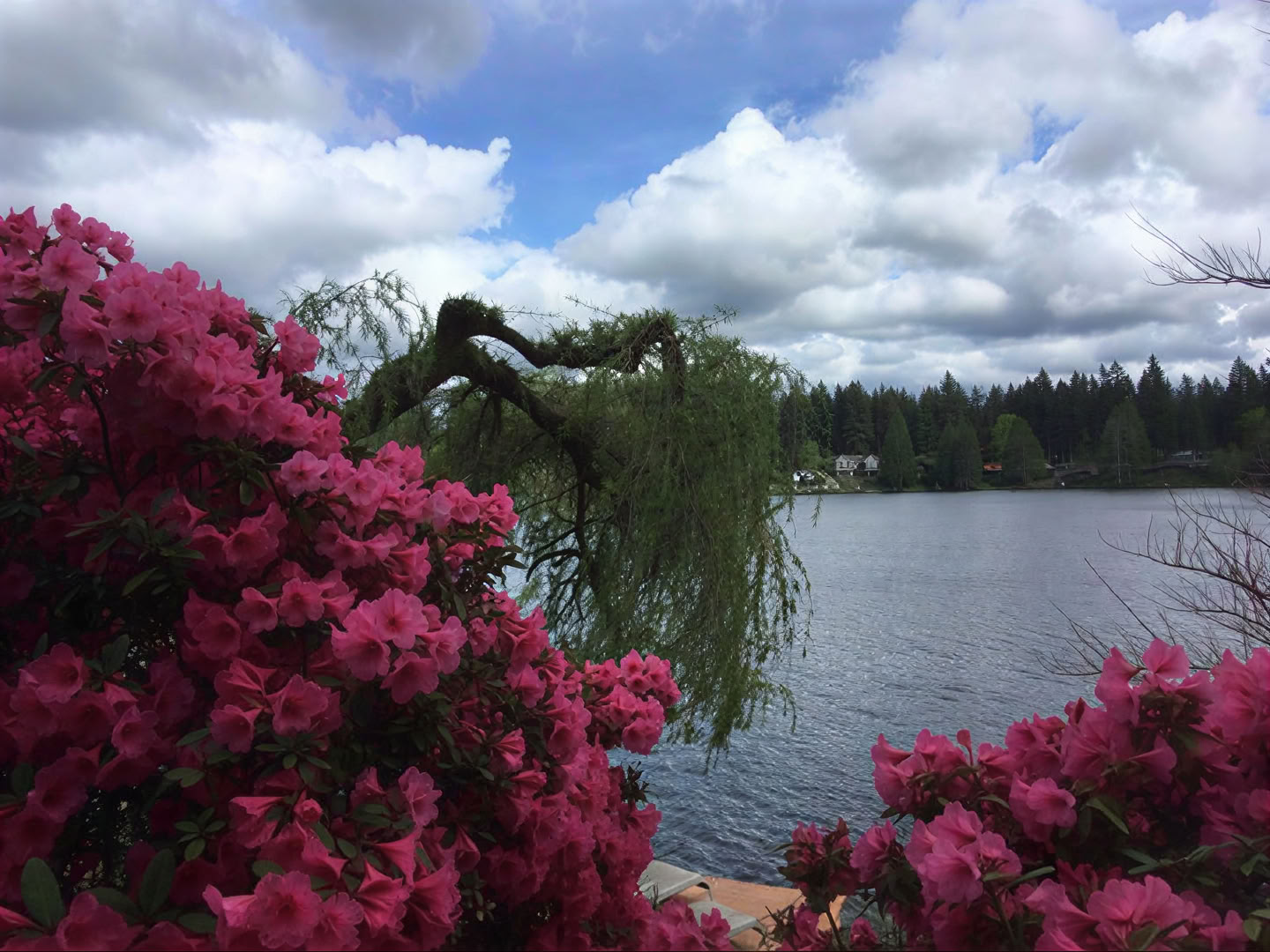 Cottage Lake Bed and Breakfast Spiritual Retreat