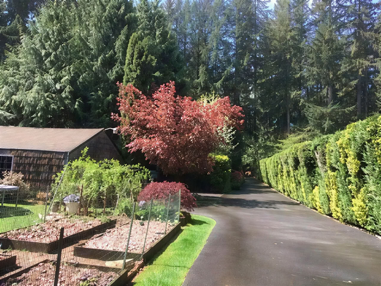 Cottage Lake Bed and Breakfast Spiritual Retreat