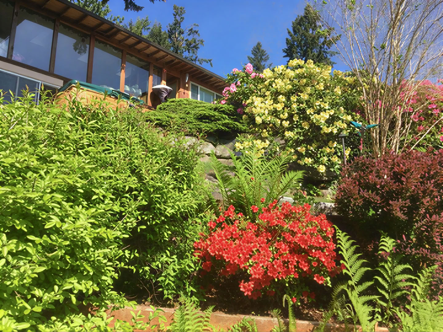 Cottage Lake Bed and Breakfast Spiritual Retreat