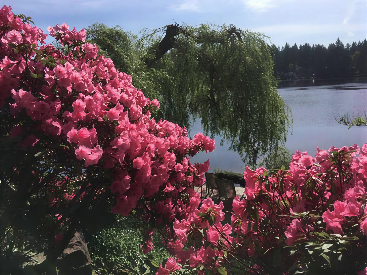 Cottage Lake Bed and Breakfast Spiritual Retreat