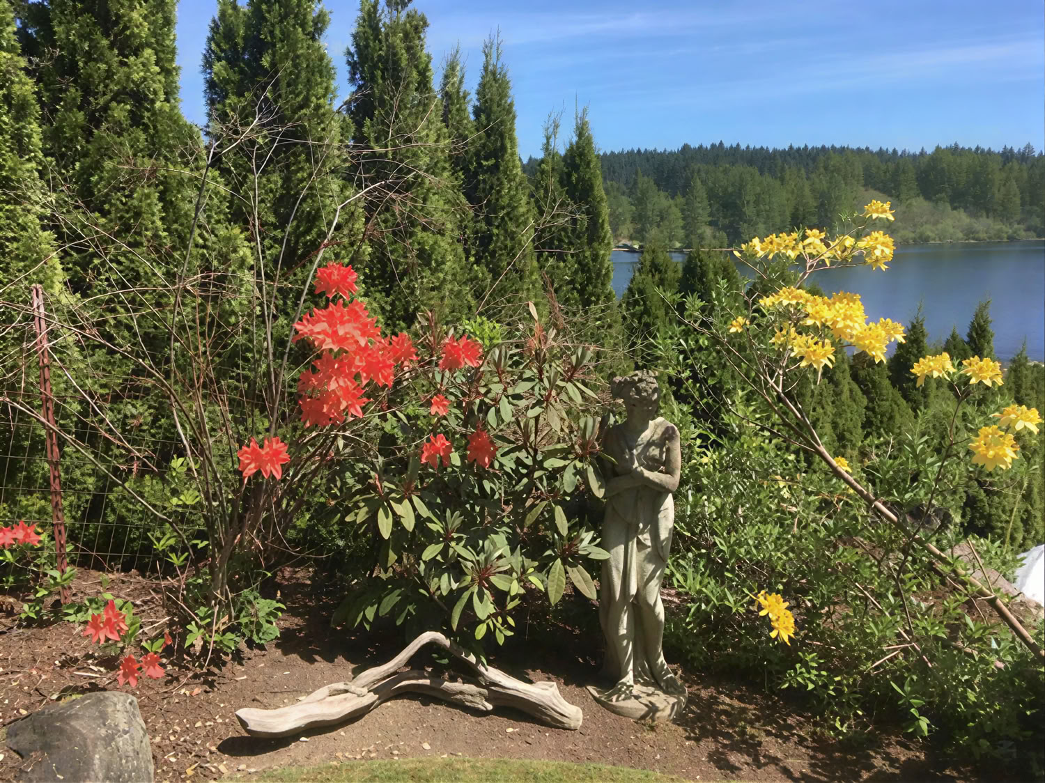 Cottage Lake Bed and Breakfast Spiritual Retreat
