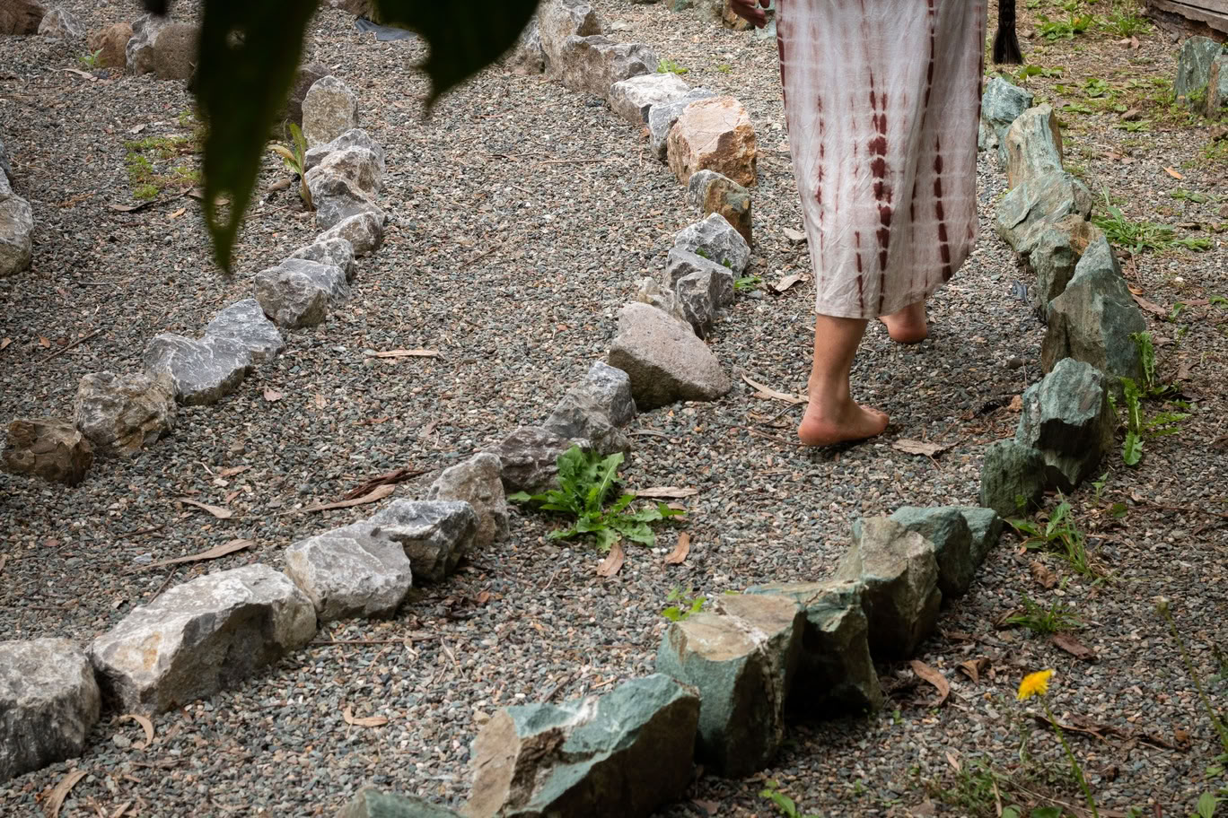 Transform Your Life: The Eight Codes of Ascension Experience