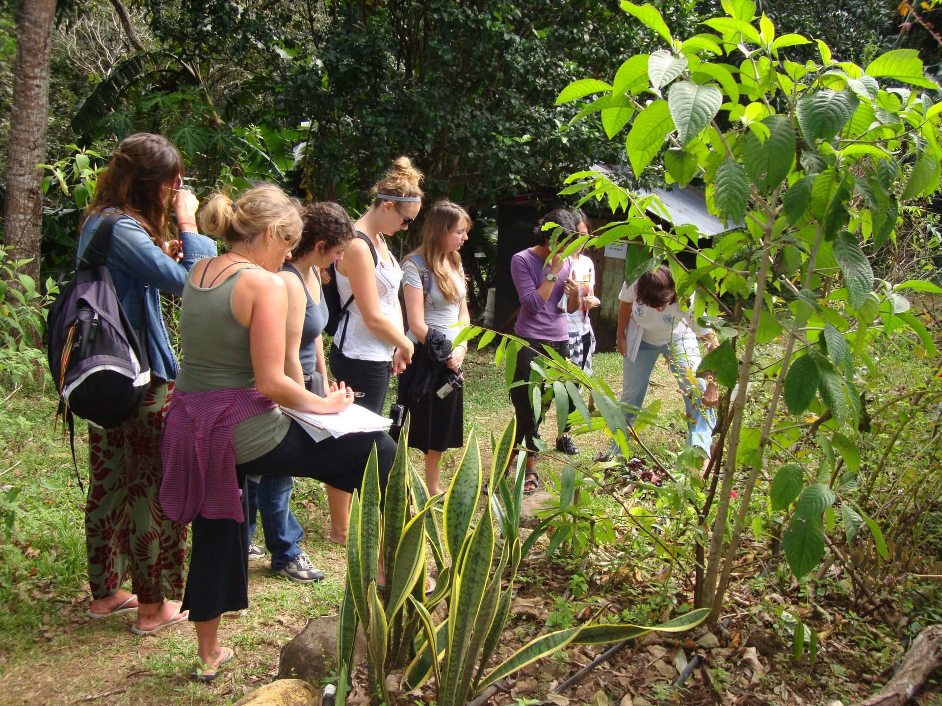 Herbal Medicine & Yoga Retreat: NEW DATE Sept 5-10, 2026