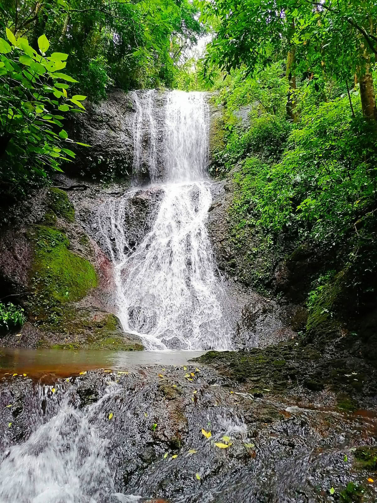 Embody the Elements: 6 nights in Paradise