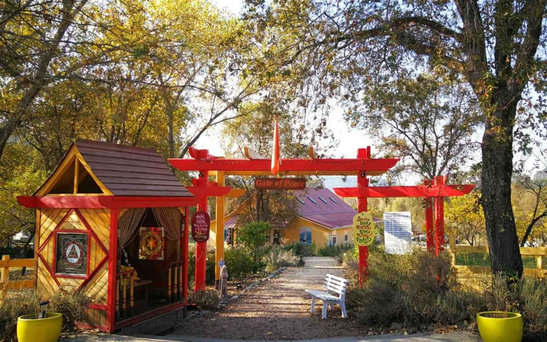 Ashram Sacred Tour – Intro to Sivananda Yoga