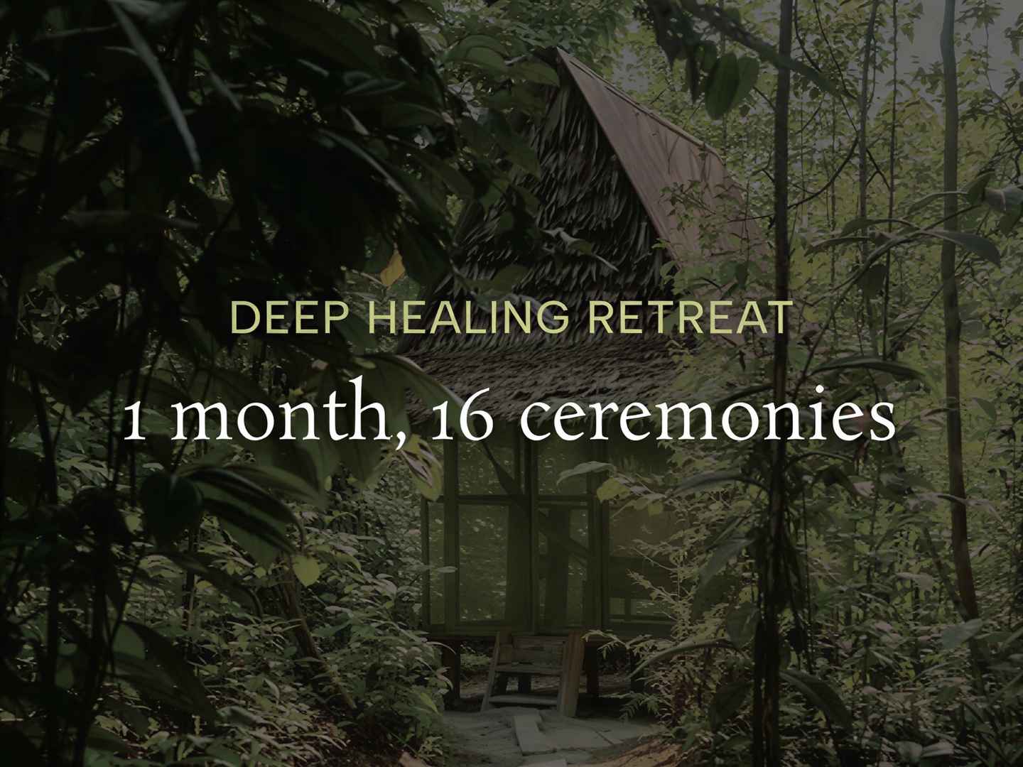 Deep Healing Retreat (1 month)