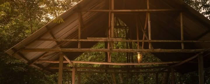 Deep Healing Retreat (6 weeks)