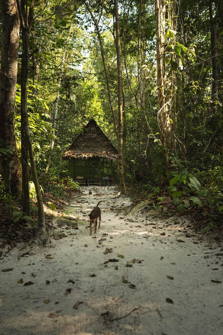 Deep Healing Retreat (2 months)