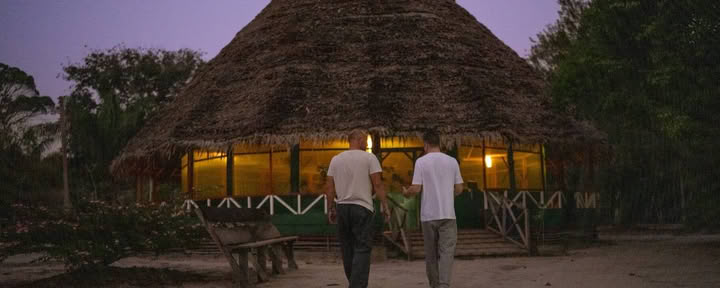 Healing Retreat (21 days)