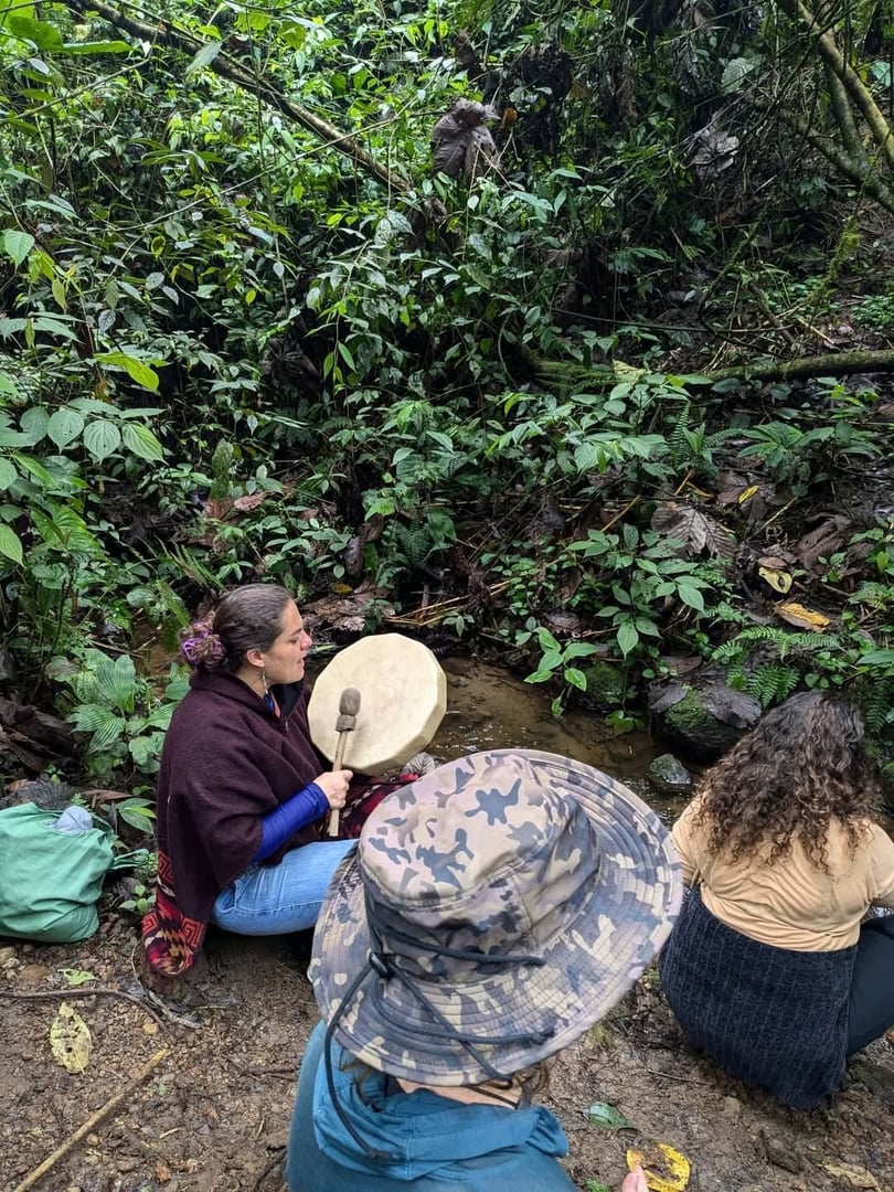 3 day - San Pedro & Ayahuasca Retreat