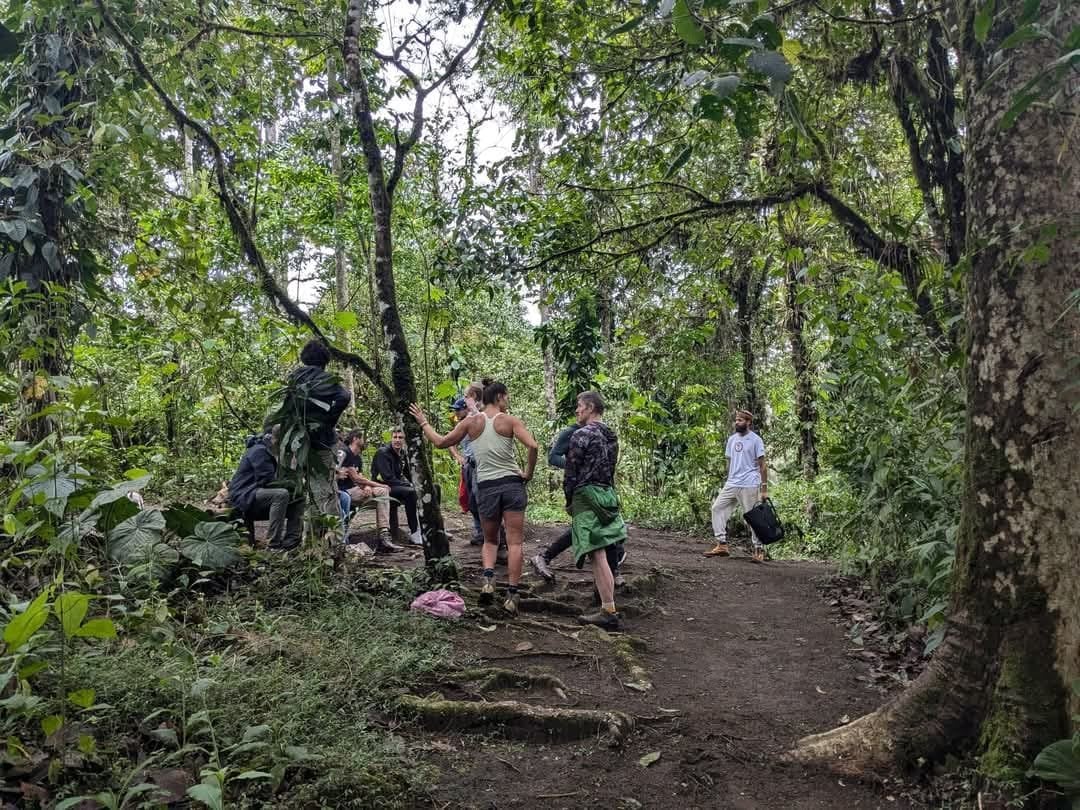 3 day - San Pedro & Ayahuasca Retreat