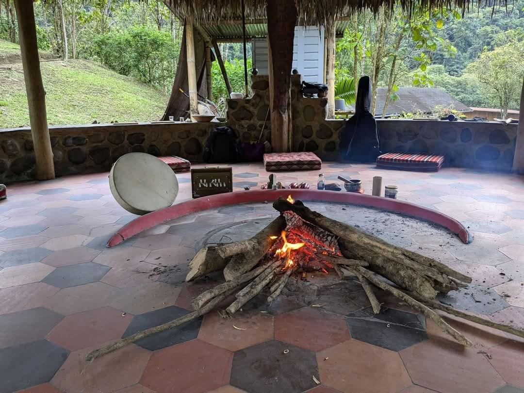 Ayahuasca Daylight Ceremony at Hayulima Natural Reserve