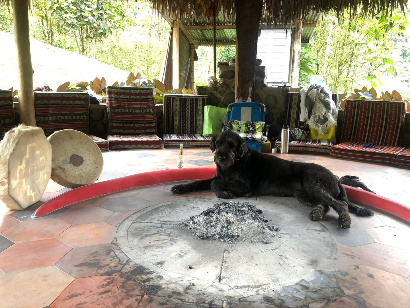 Ayahuasca Daylight Ceremony at Hayulima Natural Reserve