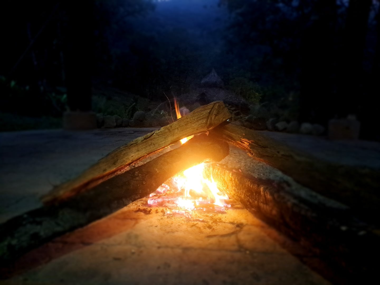 Ayahuasca Daylight Ceremony at Hayulima Natural Reserve