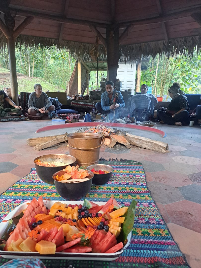 Ayahuasca Daylight Ceremony at Hayulima Natural Reserve