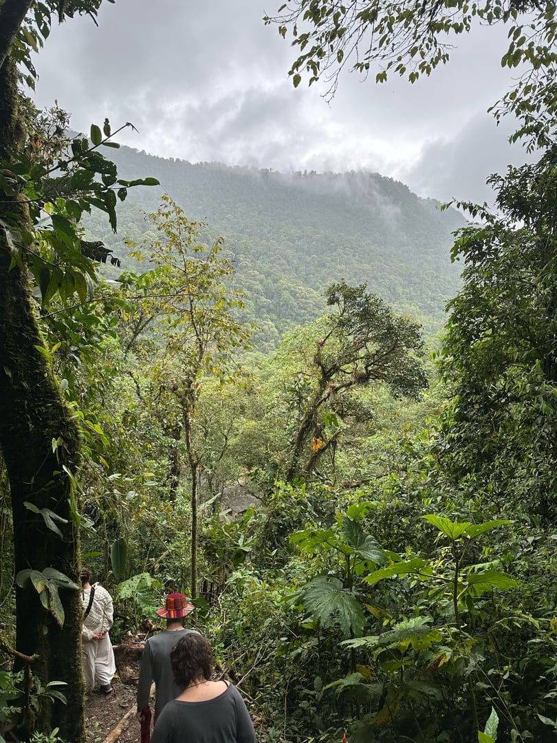 Ayahuasca Daylight Ceremony at Hayulima Natural Reserve