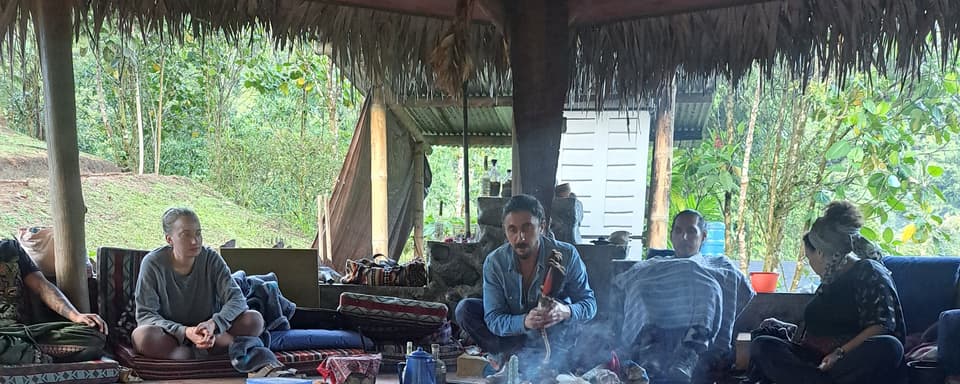 Ayahuasca Daylight Ceremony at Hayulima Natural Reserve