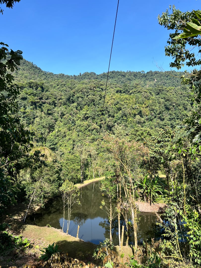 San Pedro Temazcal Ceremony at Hayulima, Natural Reserve
