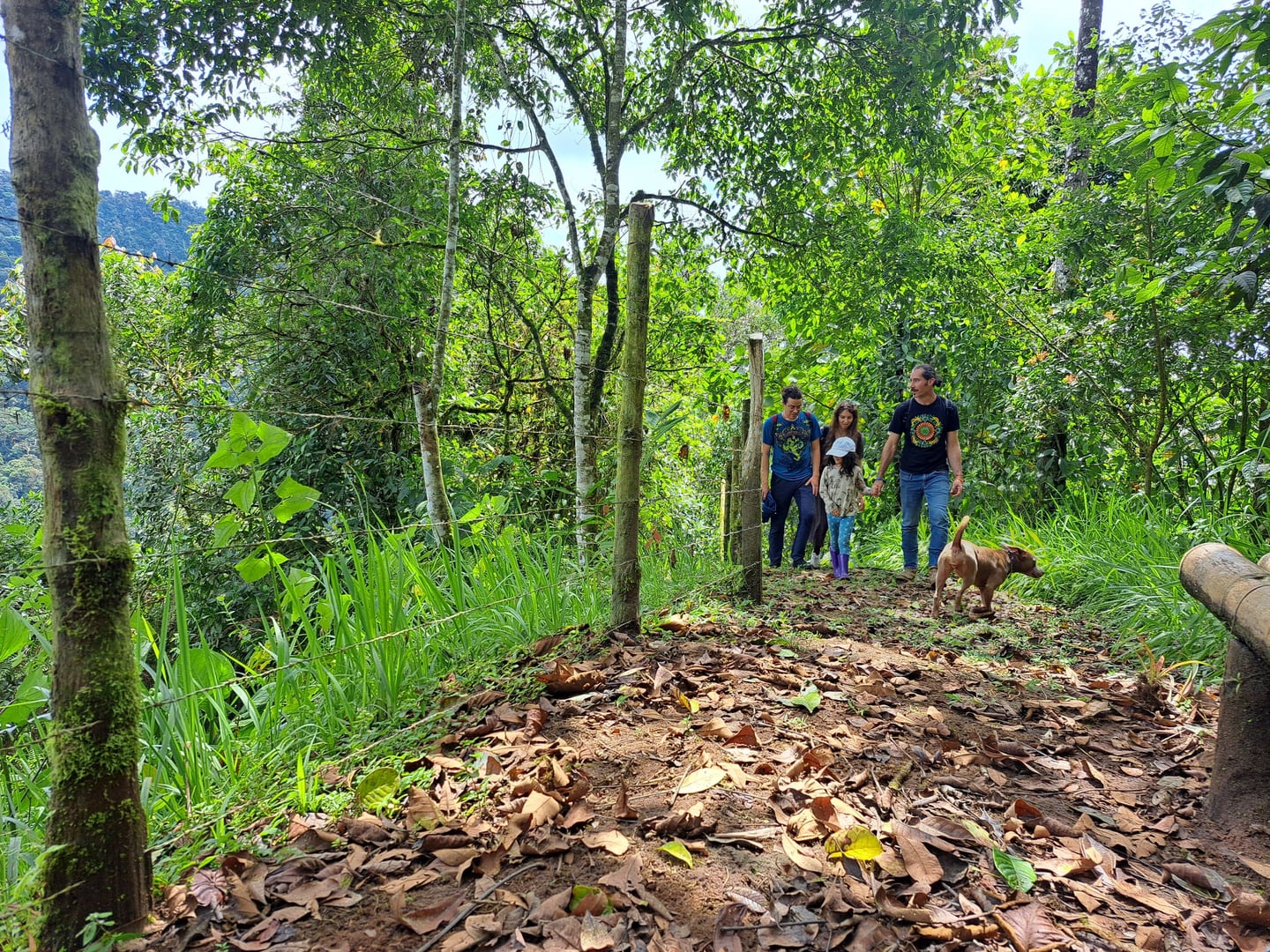 10 Day Retreat in Hayulima Natural Reserve