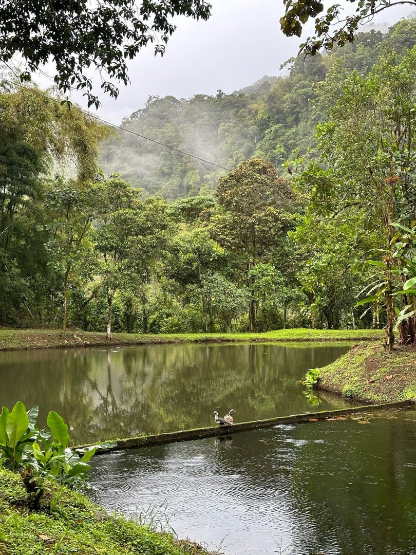 10 Day Retreat in Hayulima Natural Reserve