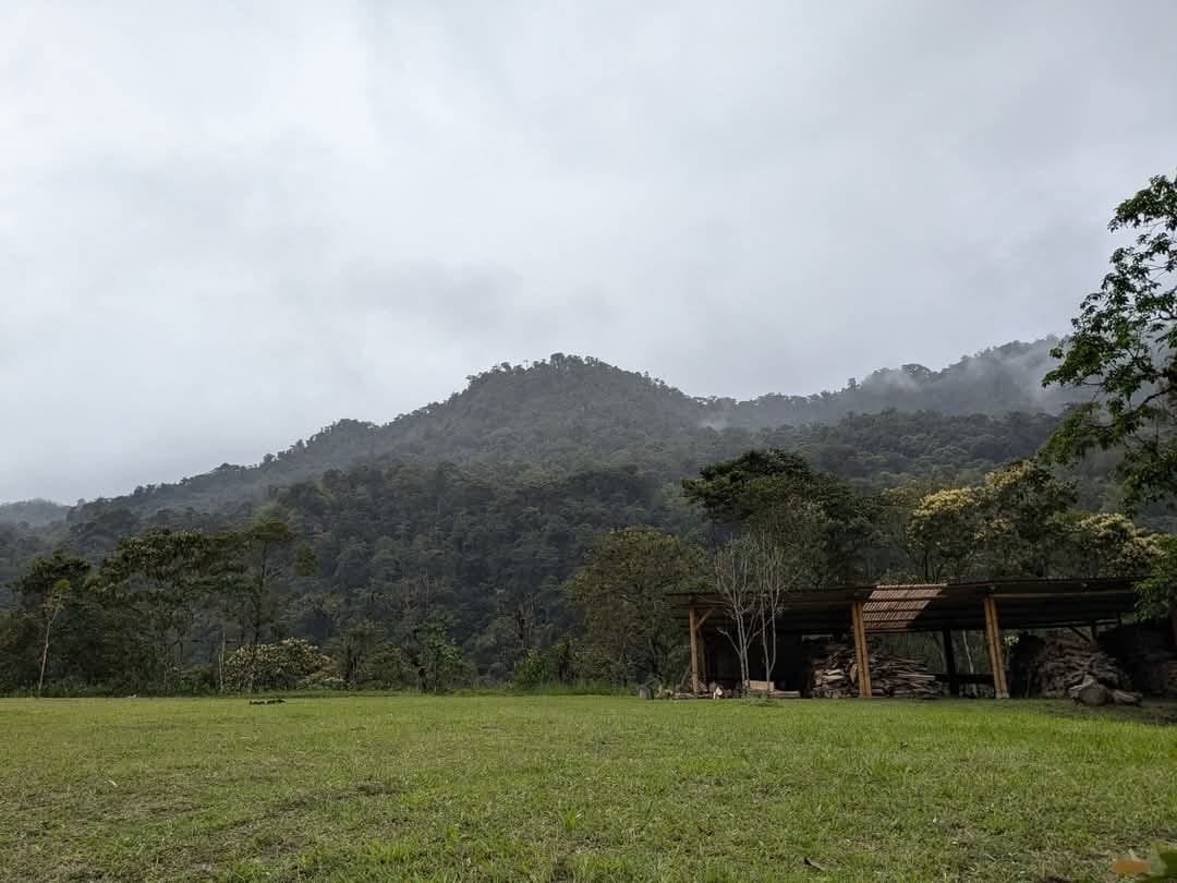 10 Day Retreat in Hayulima Natural Reserve