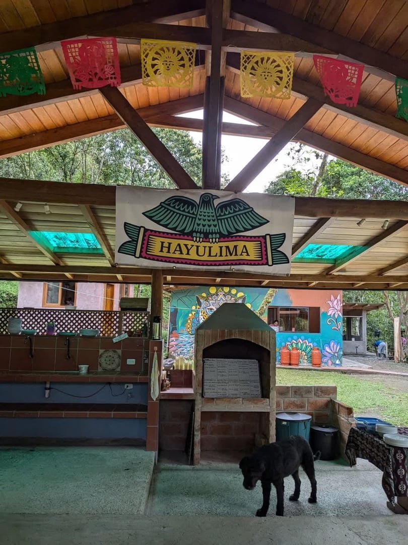 3 day – San Pedro and Ayahuasca – Weekend Journey