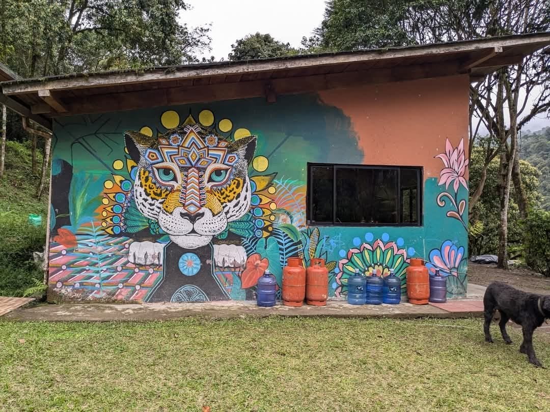 3 day – San Pedro and Ayahuasca – Weekend Journey