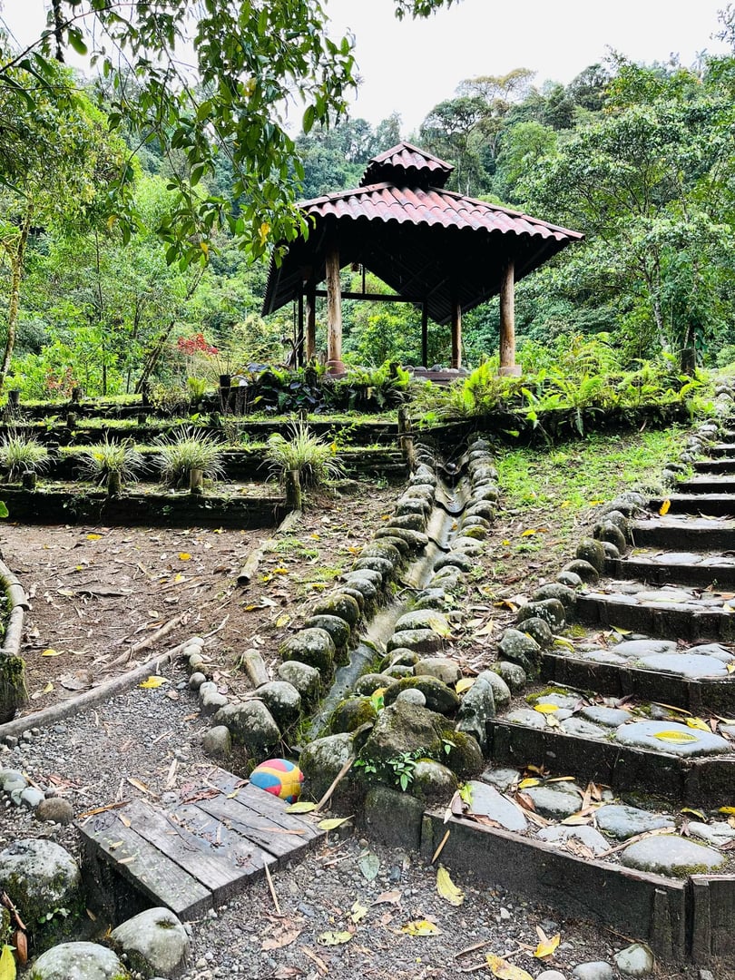 3 day – San Pedro and Ayahuasca – Weekend Journey