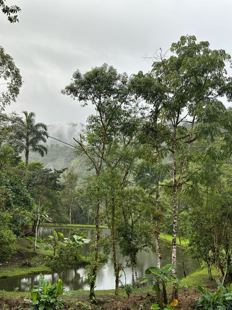 3 day – San Pedro and Ayahuasca – Weekend Journey