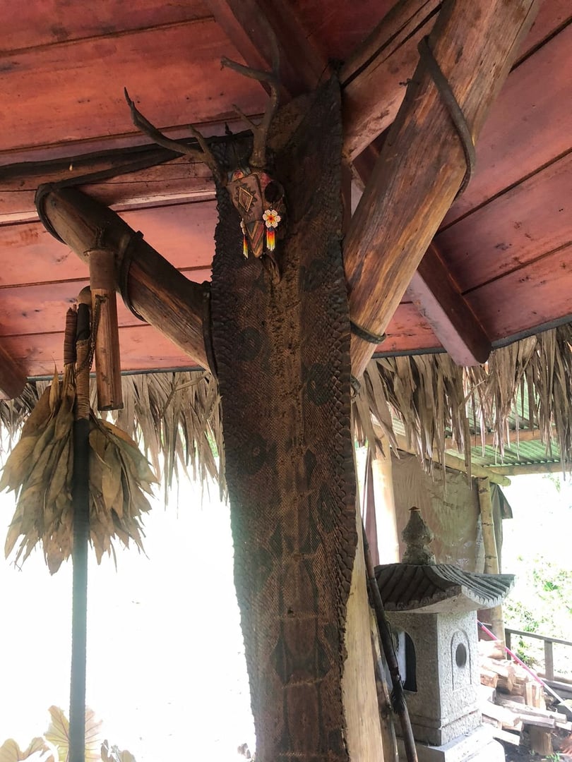 Ayahuasca Ceremony at Hayulima Natural Reserve – July 11th, 2026